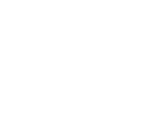 Brodie Wealth Logo